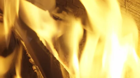 Burning wood. Stock Footage 51631955