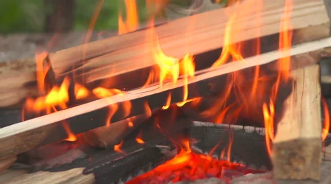 Burning wood Stock Footage 55501718