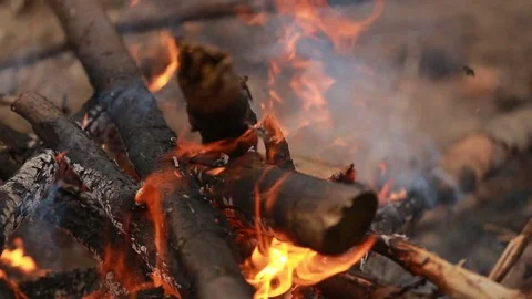 Burning the wood Stock Footage 84199301