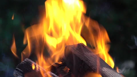Burning wood Stock Footage 157086816