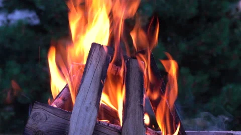 Burning wood Stock Footage 157125786