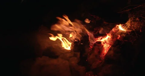 Burning wood Stock Footage 164485113