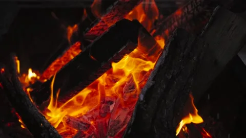 Burning Wood Stock Footage 169576617