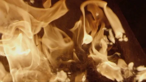 Burning wood Stock Footage 171461658