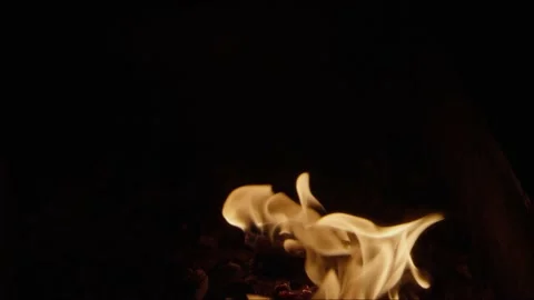 Burning wood Stock Footage 171461670