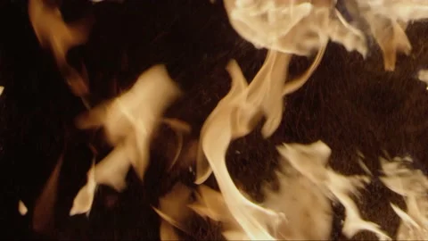 Burning wood Stock Footage 171461702