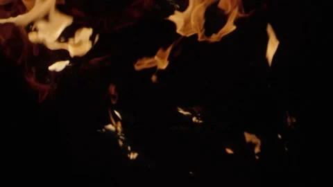 Burning wood Stock Footage 171461746