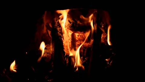 Burning wood 動画素材 219521031