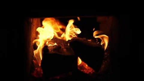 Burning wood Stock Footage 313821889