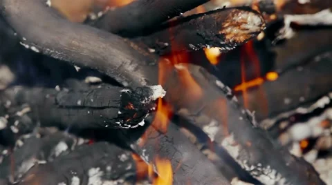 Burning wood in the forest Video stock 61575246