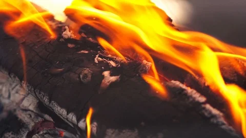 Burning wood logs Stock Footage 125021689
