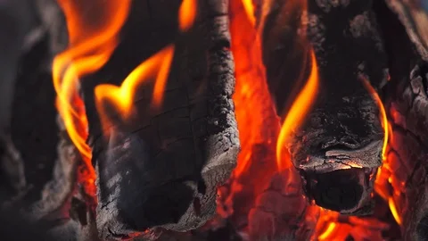 Burning wood logs Stock Footage 125021729