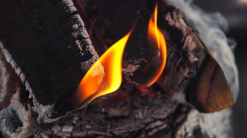 Burning wood logs Stock Footage 125021732