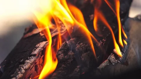 Burning wood logs Stock Footage 125021747