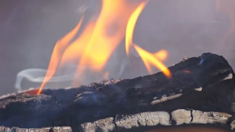 Burning wood logs Stock Footage 125021920