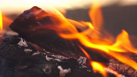 Burning wood logs Stock Footage 125021954