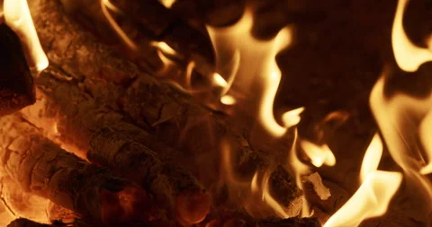 Burning Wood Logs in Slow Motion Stock Footage 343546049
