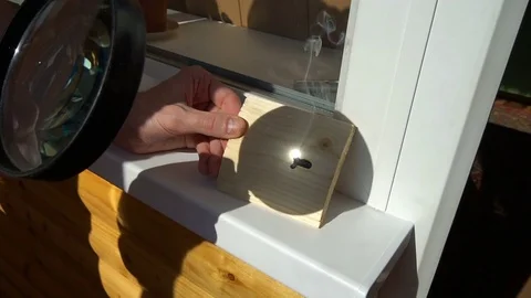 Burning on the wood pattern . with the help of magnifying glass burns on a Stock Footage 77848739