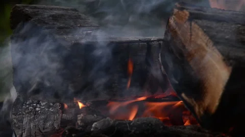 Burning Wooden Log Stock Footage 60674928