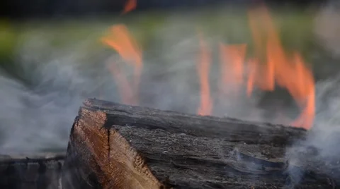 Burning Wooden Log Stock Footage 60675143
