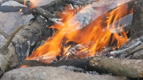 Burning woods in campfire at the day Stock Footage 78420217