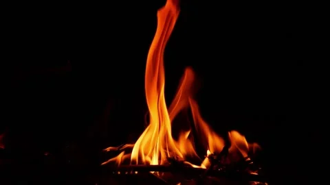 Burning woods fire flames close shot, Orange fire flames view Stock Footage 148209356