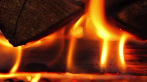 Burning woods. Fire Stock-Footage 99460119