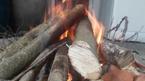 Burning woods Stock Footage 185890950