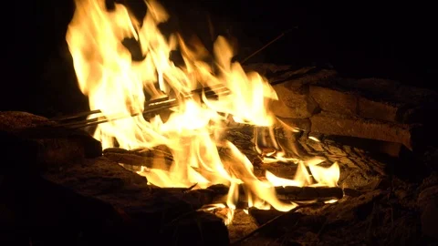Burning woods at night, fireplace, Campfire Stock Footage 118330106