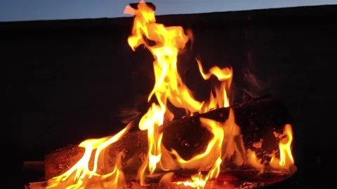 Burning woods at night. Stock Footage 317682124