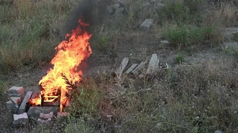 Burning woods in the open field Stock Footage 138542335