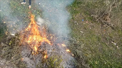BurningTrimmings03 Stock Footage 129014525
