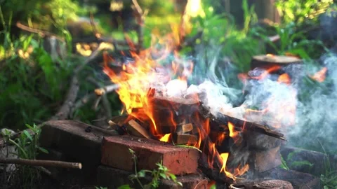 Burns bonfire which was lit by tourists to fry meat Stock Footage 135468648