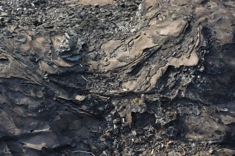 Burn.surface of the scorched .texture of tree. Stock Photos