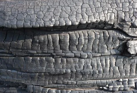 Burn.surface of the scorched wood.texture of tree. Stock Photos