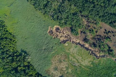 Burnt and dried forest patch between green dense woodlands, aerial top view Stock Photos