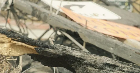 Burnt and fallen down road work sign - 2018 Stock Footage 98952443