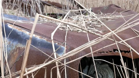 Burnt and rusty car in the middle of nowhere Stock Footage 62218460