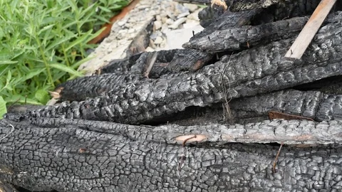 Burnt black logs left over from the fire Video stock 119018112