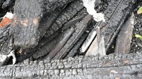 Burnt black logs left over from the fire Stock Footage 119018456