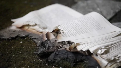 Burnt book 스톡 동영상 124291068