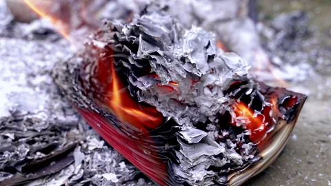 Burnt book with orange flames and smoke. Burnt pages with gray ash. Video stock 313376939