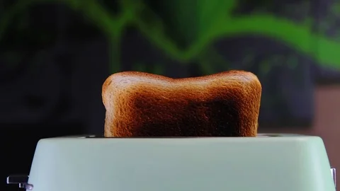 Burnt bread in a toaster. Highly toasted bread in a toaster. Stock Footage 124514263