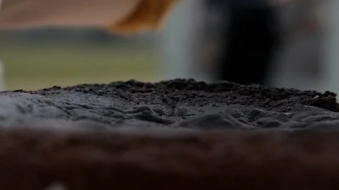 Burnt cake Stock Footage 93730894