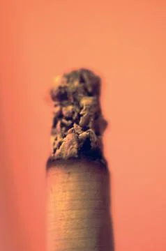 Burnt Cigarette Butt Close-Up with Orange Background Stock Photos