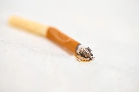 Burnt cigarette on light surface Stock Photos