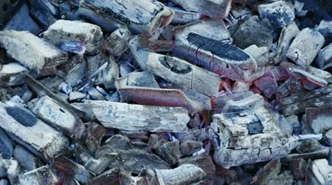 Burnt coals Stock Footage 10914814