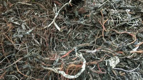 Burnt Copper Wire Scrap 스톡 사진