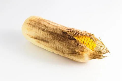 Burnt corn cooked isolate on white background. Stock Photos