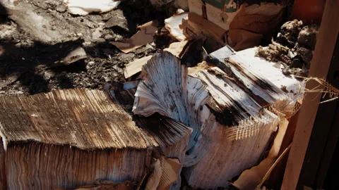 Burnt documents in the company office Stock Footage 199681659